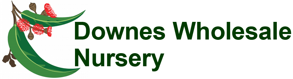 Downes Wholesale Nursery